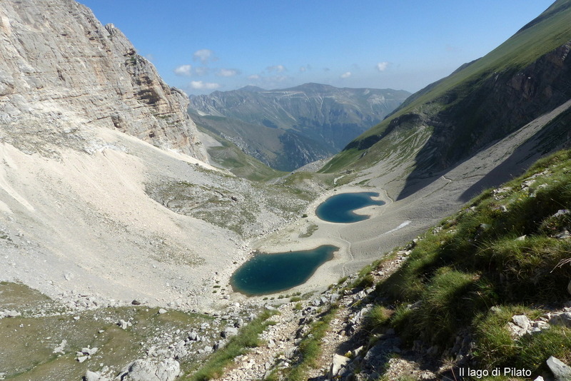 Orchidee e fiori del Monte Vettore e del Lago di Pilato � 26 giugno 2025.